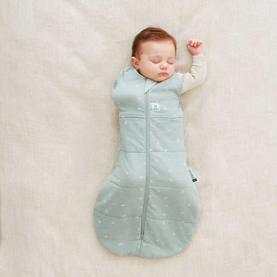 ErgoCocoon Swaddle/Sleep Bag 1.0 TOG – Natural Resources: Pregnancy +  Parenting